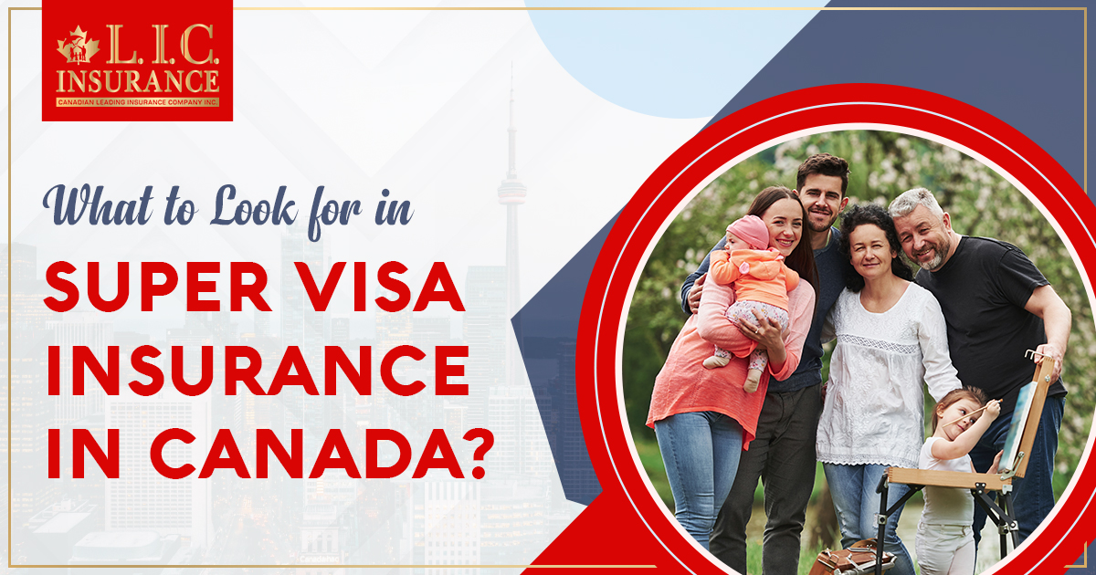What to Look for in Super Visa Insurance in Canada?