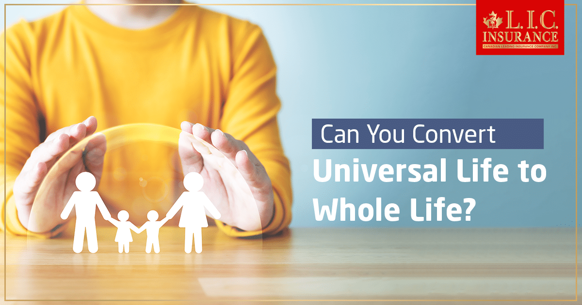 Can You Convert Universal Life to Whole Life?
