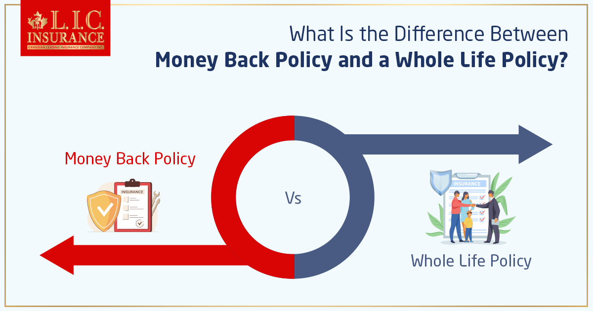 What Is the Difference Between Money Back Policy and a Whole Life Policy?