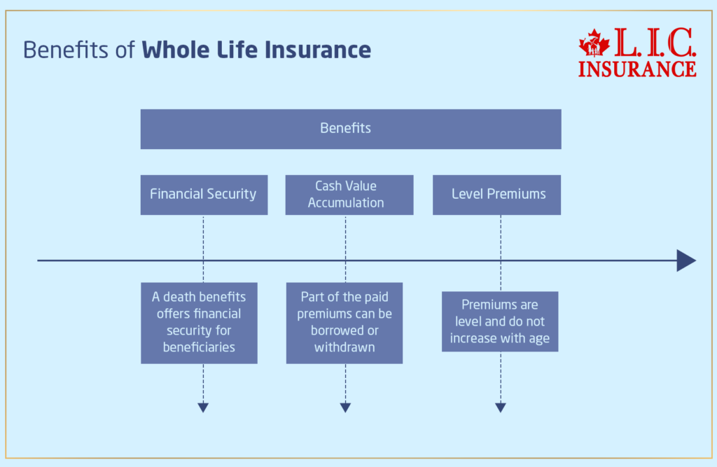 Benefits of Lifelong Coverage