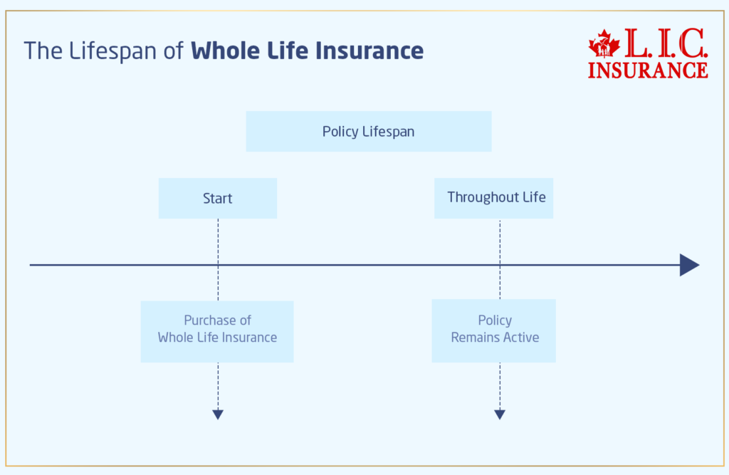 The Lifespan of Whole Life Insurance