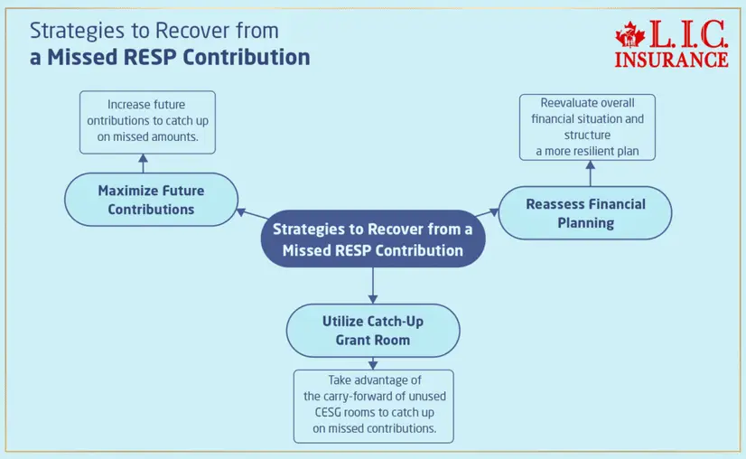 Impact of Missing an RESP Contribution