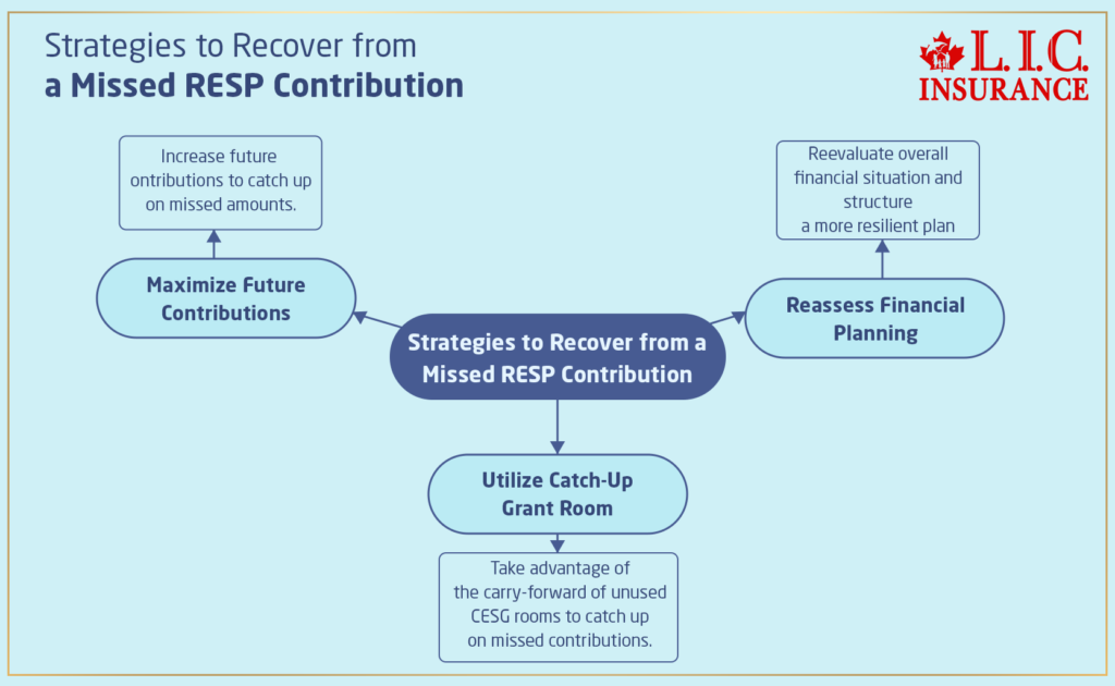 Strategies to Recover from a Missed RESP Contribution