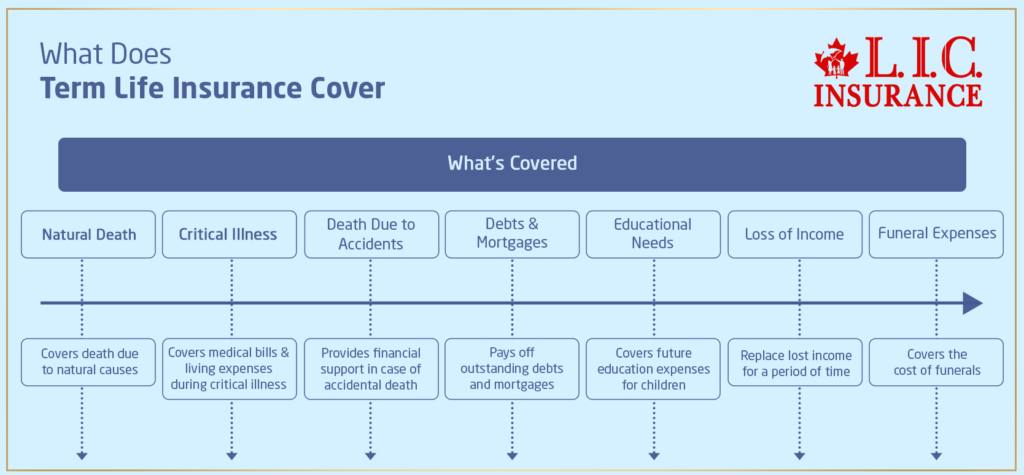 What Does Term Life Insurance Cover