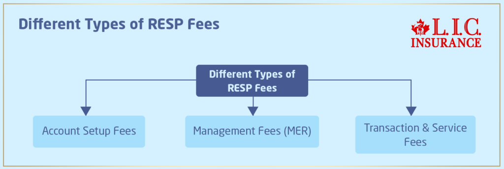 Different Types of RESP Fees