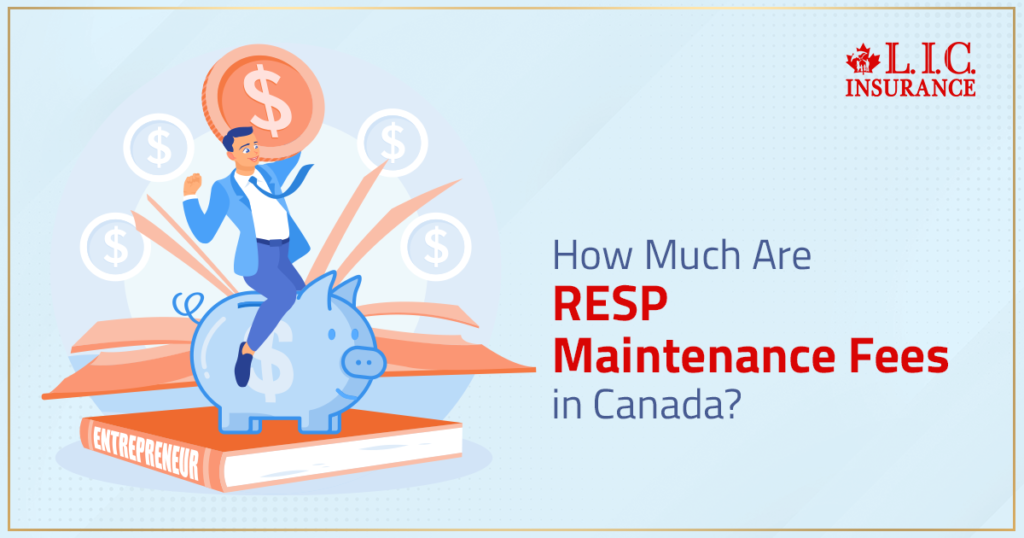 How Much Are RESP Maintenance Fees in Canada