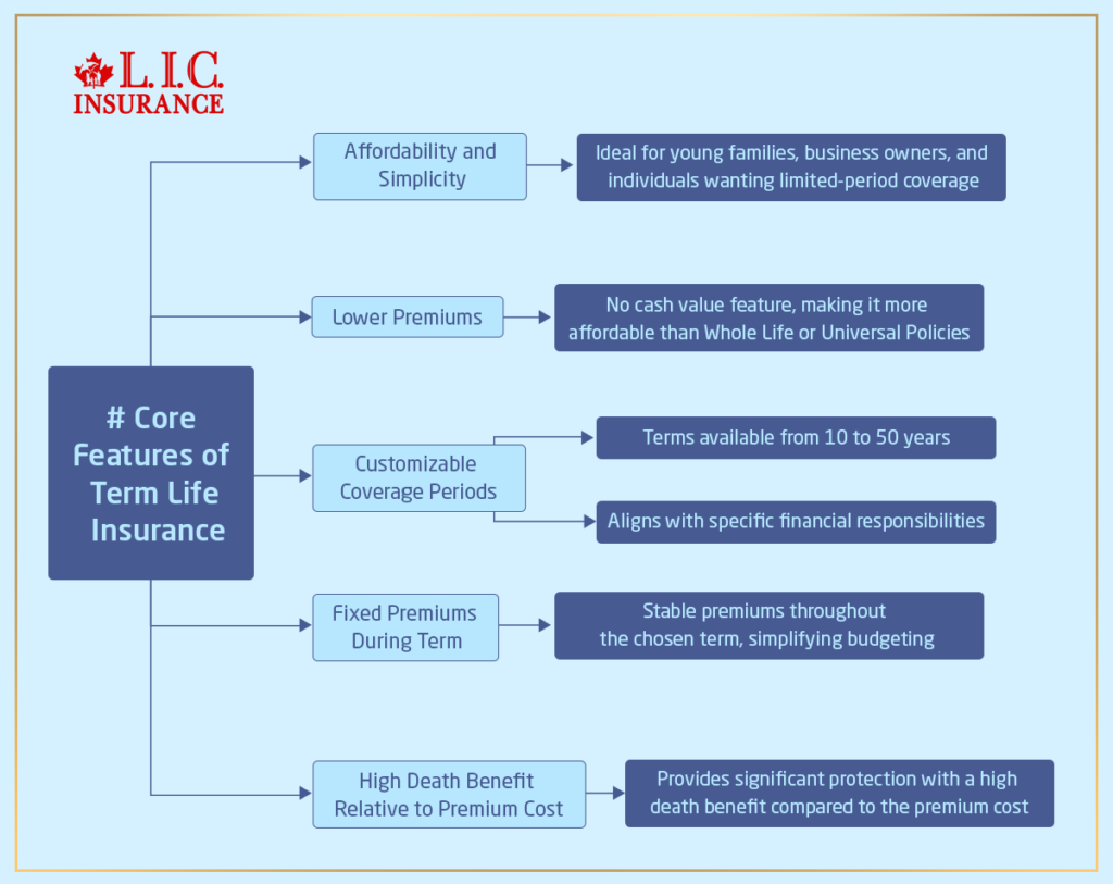 Core Features of Term Life Insurance Plans