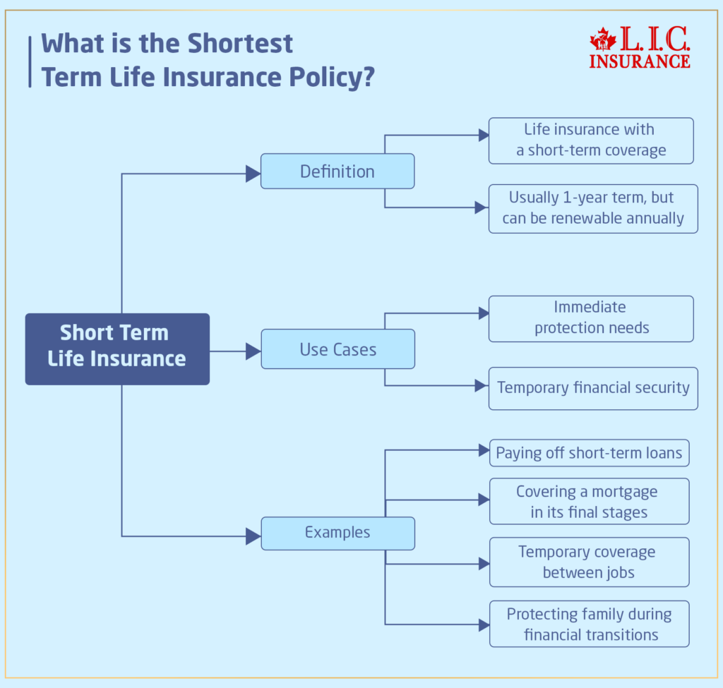 Short Term Life Insurance Policy