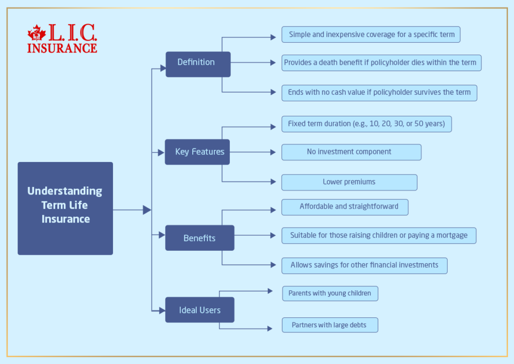 Understanding Term Life Insurance Plans