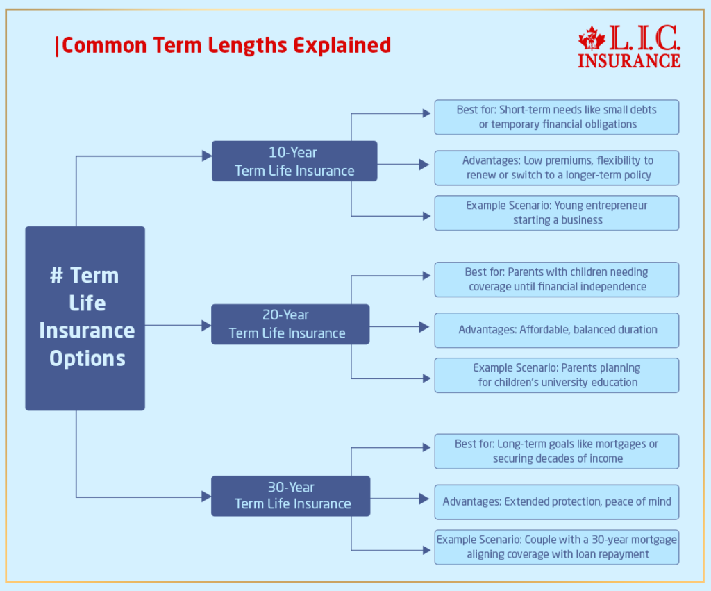 Common Term Lengths Explained