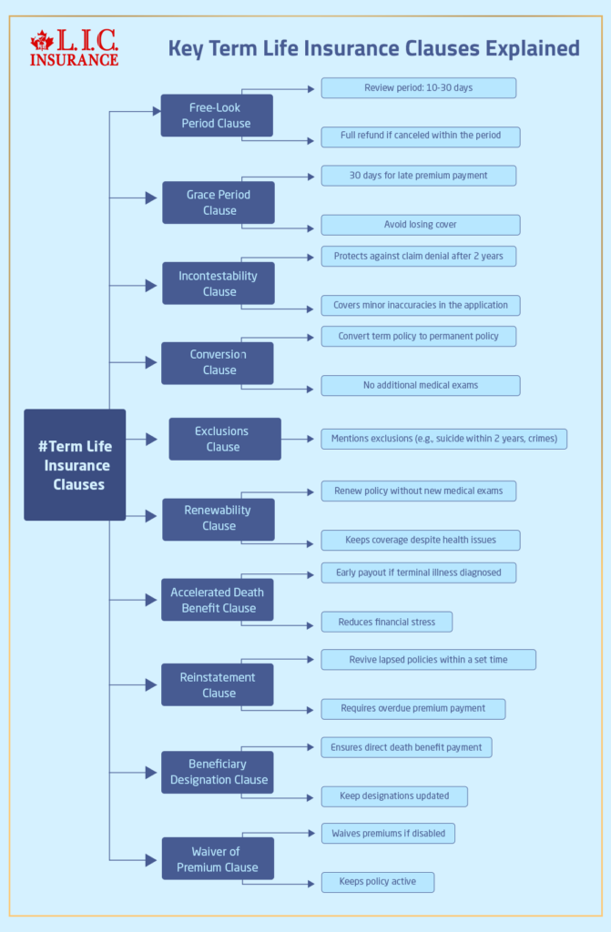 Key Term Life Insurance Clauses Explained