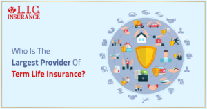 Who Is The Largest Provider Of Term Life Insurance