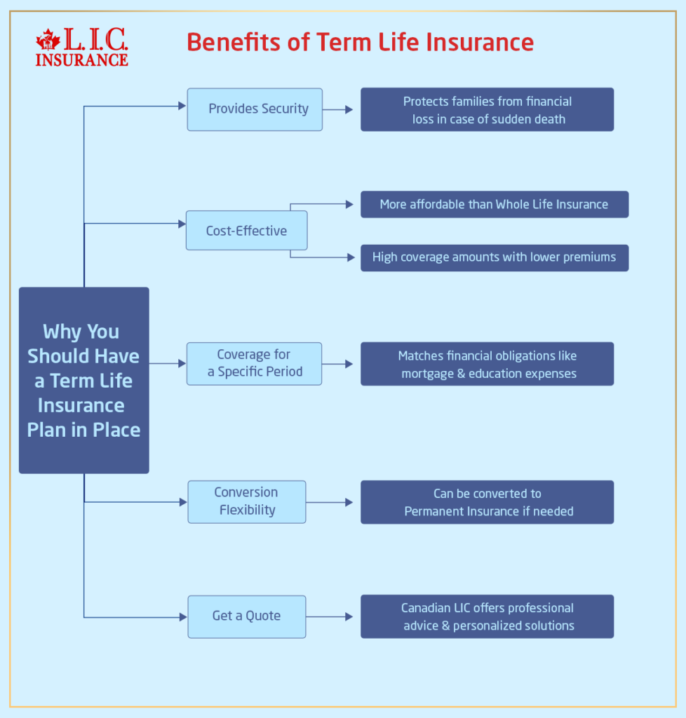 Why You Should Have a Term Life Insurance Plan in Place