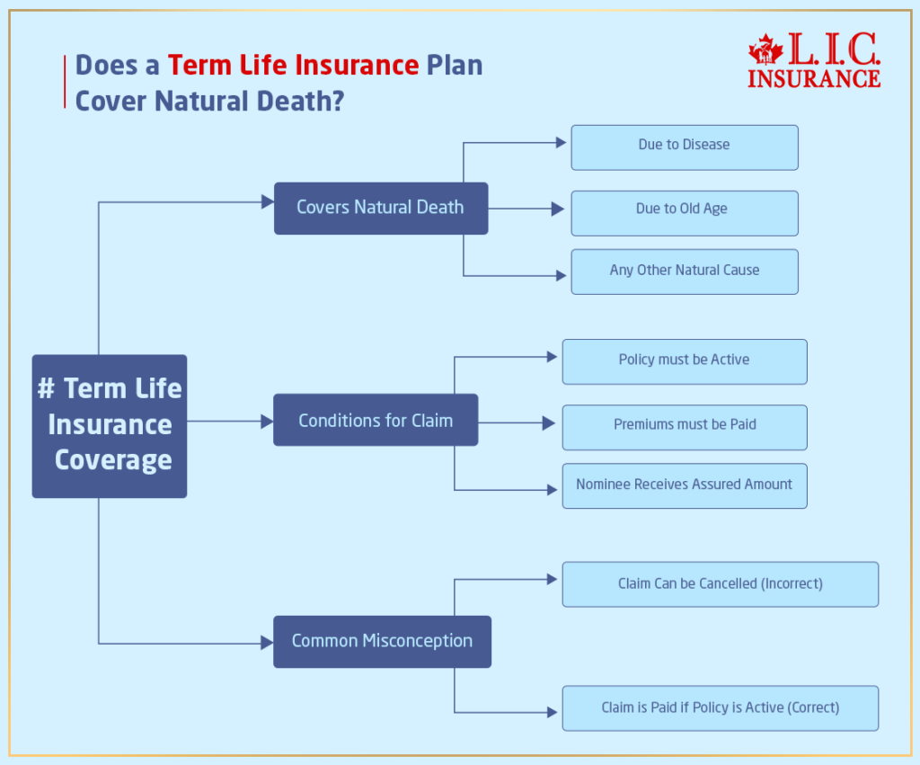 Does a Term Life Insurance Plan Cover Natural Death