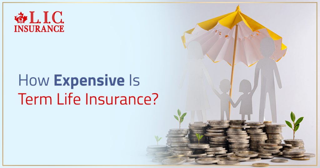 How Expensive Is Term Life Insurance